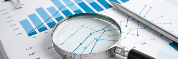 Google Ads management